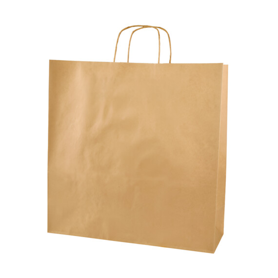 Takeaway Paper Carry Bag
