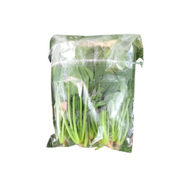 Vegetable Bag