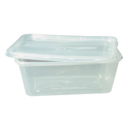 Transparent Rectangular Plastic Container