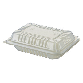 Semi Transparent PP Lunch Box