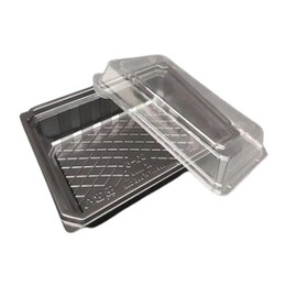 Sushi Tray